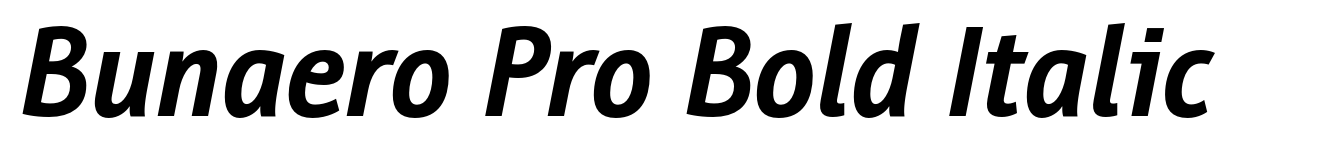 Bunaero Pro Bold Italic